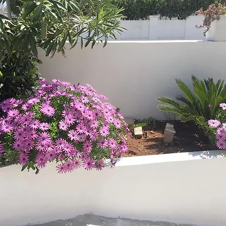 Baccaversa Гостевой дом 3*