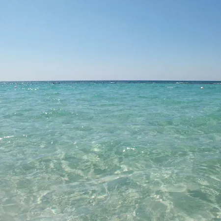 Baccaversa مارينا دي مانكافيسا